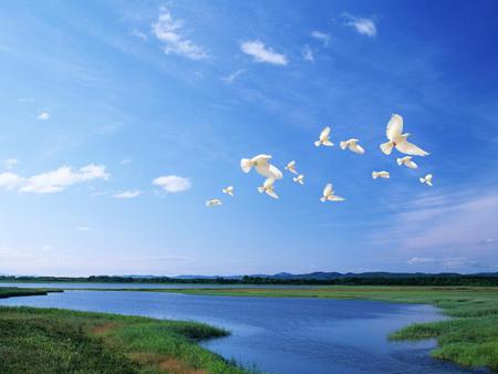 Blue-sky-over-the-lake - nature, sky, lake, landscape, clouds, blue, birds