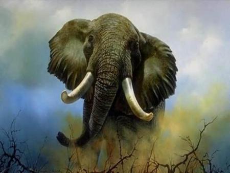 Elephant in mist