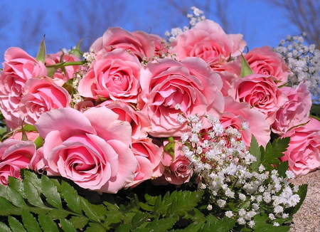 Roses and baby breath - baby breath, roses, blue, pink, green