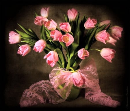 Tulips for Tanya - tulips, black background, arrangement, stems, pink