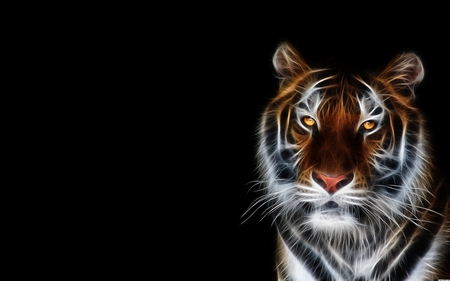 Fractal tiger - abstract, animal, feline, digital, tiger, fractal, wildlife