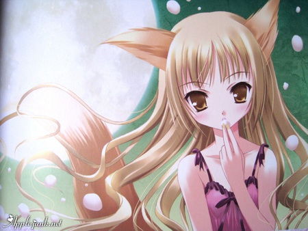 Caucasian Fox - anime, fox, beatiful, cute