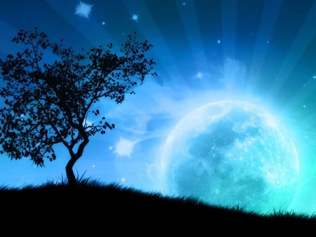 Dreamtime - moon, grass, stars, tree