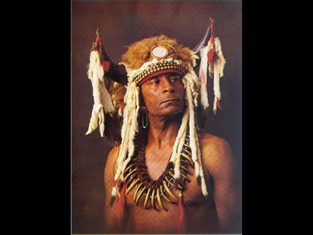 Buffalo Child - tradition, cherokee choctaw, native, warrior