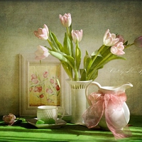 still life