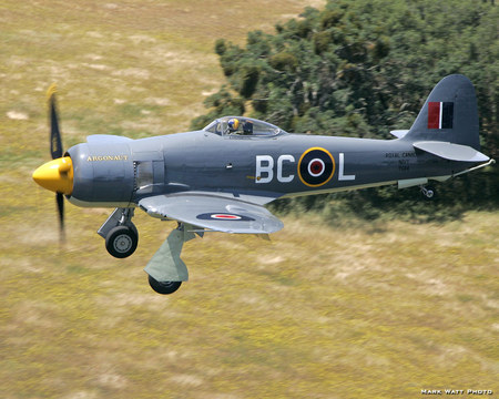 Hawker Sea Fury - war, ww2, fury, hawker, fighter, air force, raf, sea