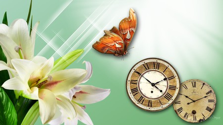 Lily Light and Time - sparkle, flower, light, firefox persona, lily, glow, clocks, vintage, green, time, butterfly