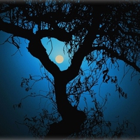 Blue Night