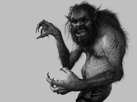 Werewolf. - horror, wallpaper, fantasy, half animal, dark, werewolf