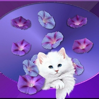 ANOTHER FRAMED KITTY