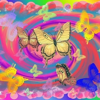 BRILLIANT BUTTERFLIES