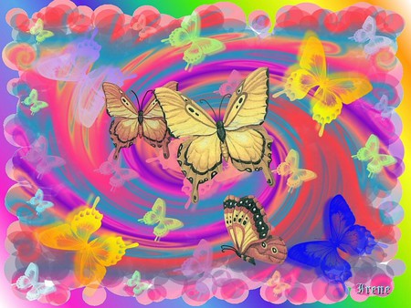 BRILLIANT BUTTERFLIES