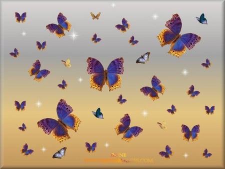 BUTTERFLY ROYALTY - orange, blue, animals, butterflies