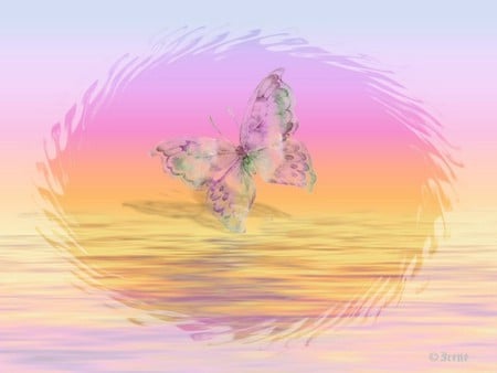 BUTTERFLY SEAS - butterfly, reflection, colorful, pastel, sea