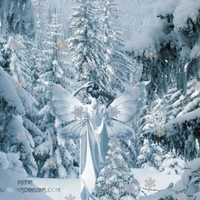 FAIRY OF THE WINTER