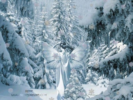 FAIRY OF THE WINTER - white, winter, wings, snow, fairy, forest