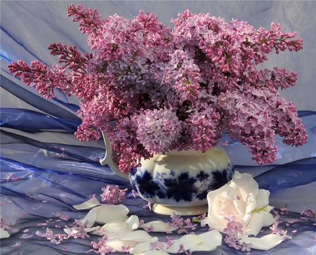 Lilac  with  Blue - flowers, vase, cloth, table, lilacs, still life