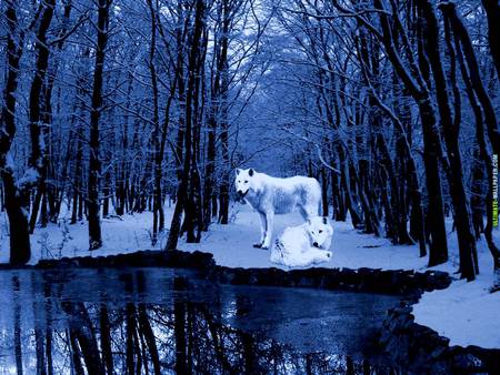 Frozen blue - ice, blue, animal, tree, frozen