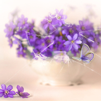 still life