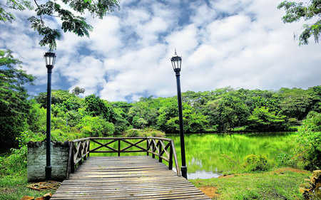 The Bridge - sky, trees, nature, white, lantern, beautiful, river, clouds, headlight, green, lamp, flowers, bridge