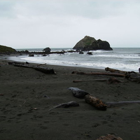 redwood beach