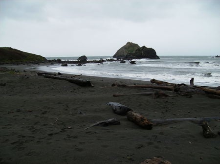 redwood beach - water, beach, wood, california, driftwood, ocean, sand