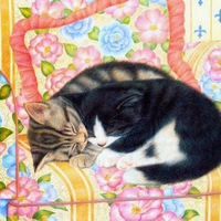 Anne Mortimer "Cats Sleep Anywhere"