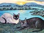 Cats at beach * Mimi Vang Olsen