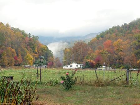 MOUNTAIN FARM - fall, nature, farm, leaves