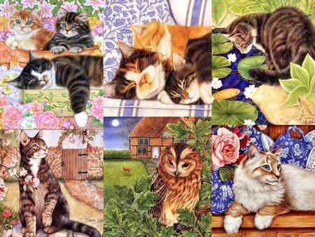 Collage - flower, animal, kitten, cat, collage, owl