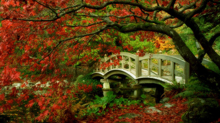 Japanese Garden - trees, water, flowers, bridge, garden, lovely