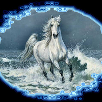 Surf Run - Horse F1C