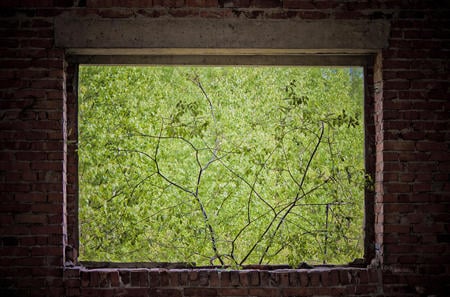 The Window Into Summer - summer, window, twigs, wall