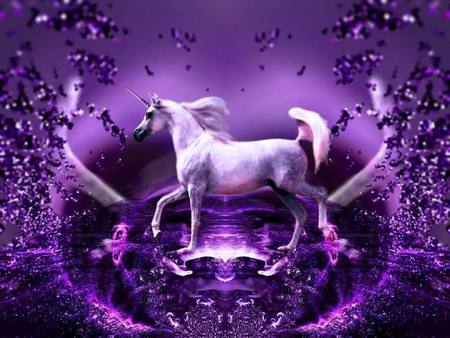 Purple Unicorn - purple, fantasy, water, unicorn