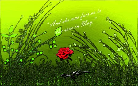 Rose & Quote - red, green, rose, grass, quote