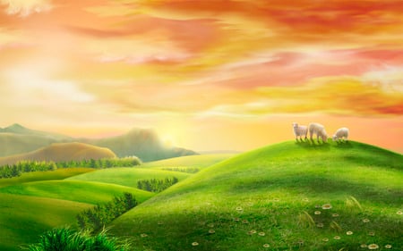 Sheep in a Pasture - sunset, sheep, green, pastures, gold