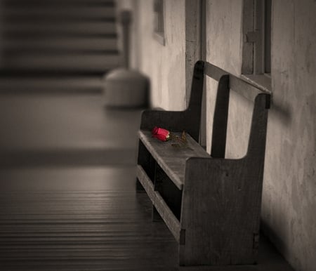 Solitary Rose - vintage, rose, black and white, flower, solitude