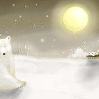 Polar Bear <3 Snow