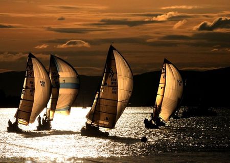 Golden Night Sailing - sky, boats, peaceful, night, water, sailing, golden, gold