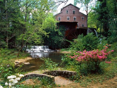 Falls Mill Belvidere Tennessee - forests, tennessee, water, watermill, house, mill, flower