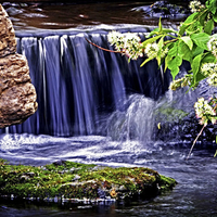 sprin waterfall