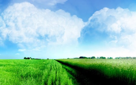 Verdant Field !!! - gree, nature, fields, cloud, sky, way