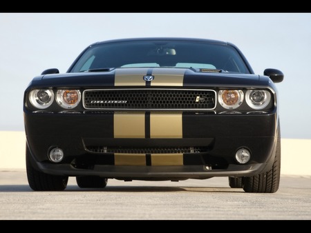 Dodge Challenger - cars, challenger, dodge