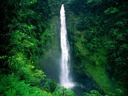 huge fall - fall, forest, trees, water, waterfall