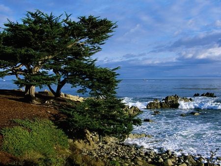 Paradise - oceans, sky, trees, clouds, rocks, landscapes, waves