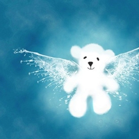 angel teddy