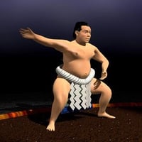 Sumo