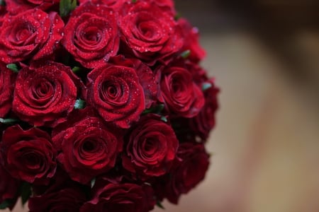 Bouquet - nice, beauty, roses, photography, bouquet, rose, cool, pretty, romance, harmony, drops, wet, lovely, beautiful, red, flowers, photo, elegantly, flower