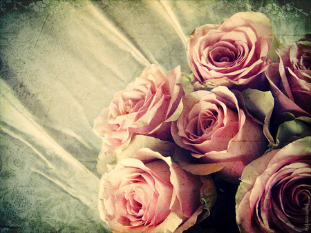 roses - bouquet, still life, roses, vintage