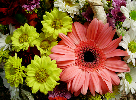 Colors - nature, bouquet, colors, flowers